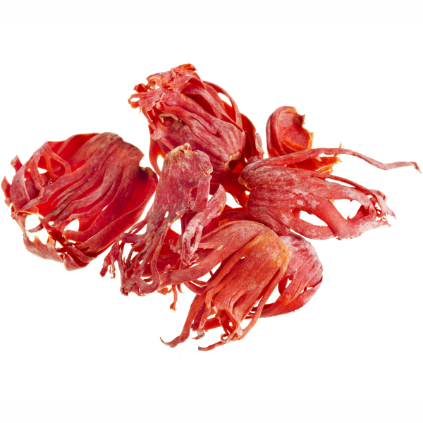 Javitri JAVITRI/MACE 20g - Image 1