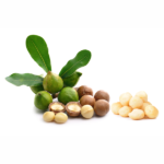 MACADEMIA NUTS 100g - Image 2